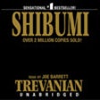 Icon of program: Shibumi (by Trevanian)