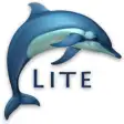 Icon of program: Dolphins 3D Lite