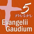 Icon of program: Evangelii Gaudium 5 min