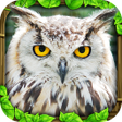 Icono de programa: Owl Simulator