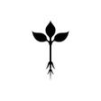 Icono de programa: Roots Natural Kitchen