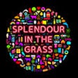 Icon of program: Splendour in the Grass 20…