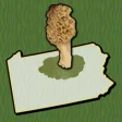Icon of program: Allegheny Mushroom Forage…