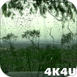 Icono de programa: 4K Rain Drops on Window L…