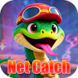 Icon of program: Net Catch