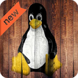 Icon of program: Red Hat Linux