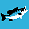 Icon of program: BassVision