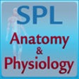 Icon of program: Anatomy & Physiology Flas…