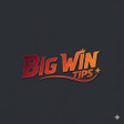 Icon of program: Big Wins Tips