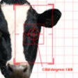 Icon of program: 3D Animalizer