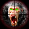 Icon of program: Hunting Bigfoot Monster H…