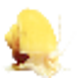 Icon of program: SnailFile