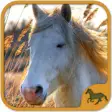 Icon of program: Horse Puzzles Collection