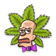 Icon of program: Stoner Memory Test: Buzze…
