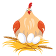 Icon of program: The Hen On Table