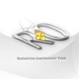Icon of program: Radiation Oncologist Tool