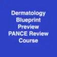 Icon of program: Dermatology Blueprint PAN…