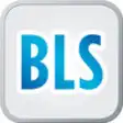 Icon of program: Build Lasting Success (BL…