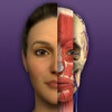 Icon of program: Beneath the Skin of Beaut…