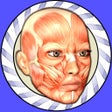 Icon of program: Speed Anatomy for iPhone