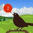 Icon of program: Chirp! Bird Songs & Calls…