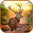 Icon of program: 3D Ultimate Deer Hunter