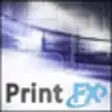 Icon of program: Print.FX