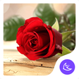 Icon of program: Red rose love - APUS Laun…