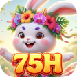 Icon of program: 75HMaze