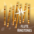 Icon of program: Flute Ringtones Classica…