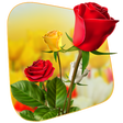 Icono de programa: 360 Flower live wallpaper…