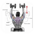 Icon of program: Fitnes And Body Building