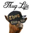 Icon of program: Thug Life Maker - Create …