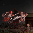 Icono de programa: Cat carried Butterfly