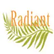 Icon of program: Radiant Medical