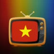 Icon of program: VietNam TV