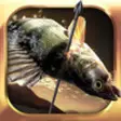 Icon of program: Fishing Hunter 3D