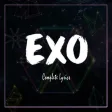 Icon of program: EXO Lyrics (Offline)