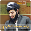 Icono de programa: raad mohammad al kurdi - …