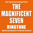 Icon of program: The Magnificent Seven