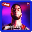 Icon of program: Anuel AA Songs - Whine Up…