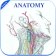Icon of program: Gray's Anatomy - Atlas ||…