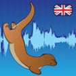Icon of program: English Pronunciation - O…