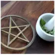 Icon of program: Pagan Herbal Remedies