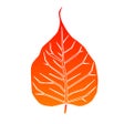 Icon of program: Dhamma Stream