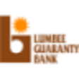 Icon of program: Lumbee Guaranty Bank