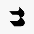 Icon of program: Bershka