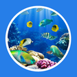 Icon of program: Caperplus