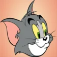 Icon of program: Tom VS Jerry for Windows …