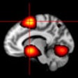 Icon of program: NeuroPub Visualizer